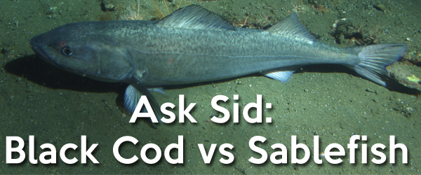What is sablefish?