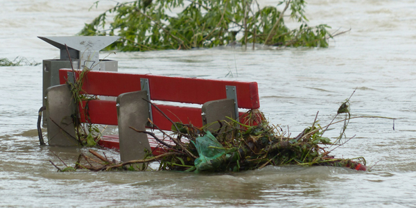 Avoid floods with your wine cellar