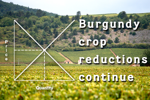 Burgundy crop reductions continue