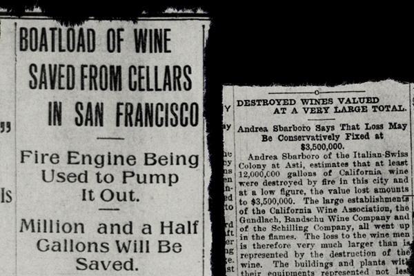 Wine articles about the earthquake