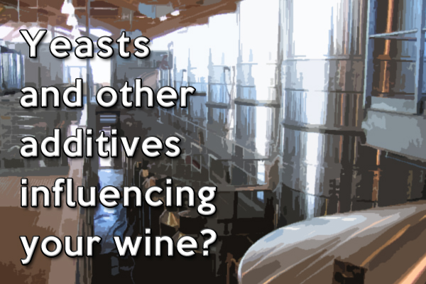 Yeasts and other additives influencing your wine?