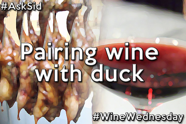 How to pair duck with wine