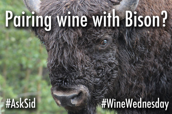 Pairing wine with bison?