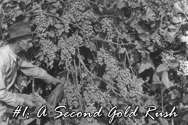 #1: A Second Gold Rush