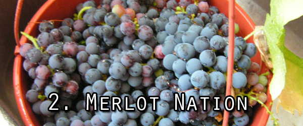 Merlot explodes in popularity during the 90s