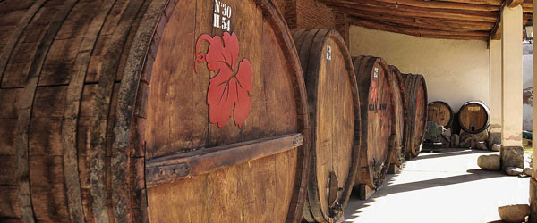 Argentine wine production
