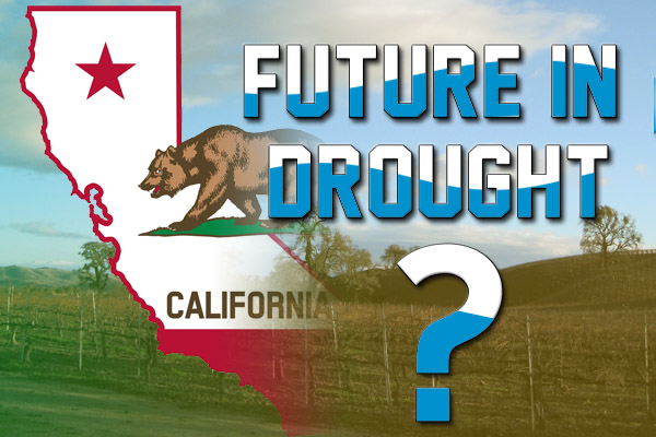 Is California's wine future in drought?