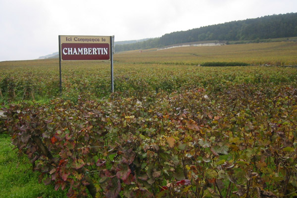 Domaine Armand Rousseau Gevrey-Chambertin