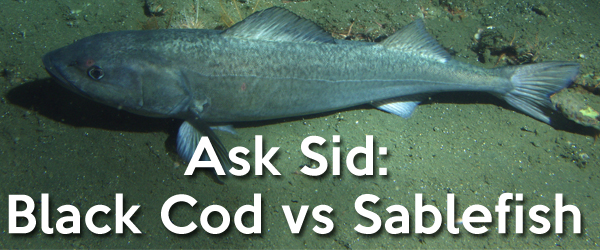 Black Cod vs Sablefish