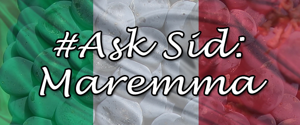 Ask Sid: Maremma