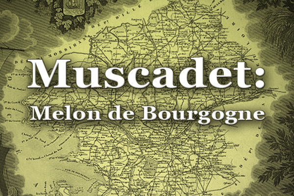 Muscadet: Melon de Bourgogne