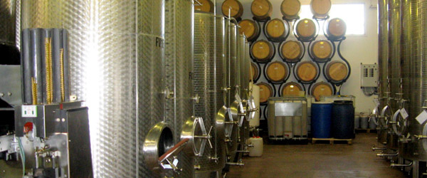 fermentation process for sekt