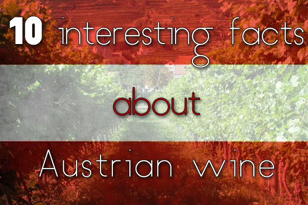 10 interesting facts about Austrian wine