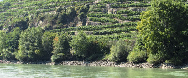 Austrian wine Danube River Wachau