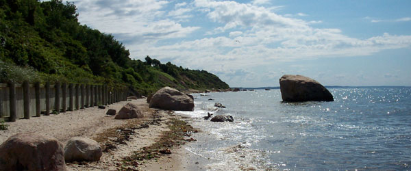 The first Long Island vineyard was planted in 1973 by Alex and Louisa Hargrave 