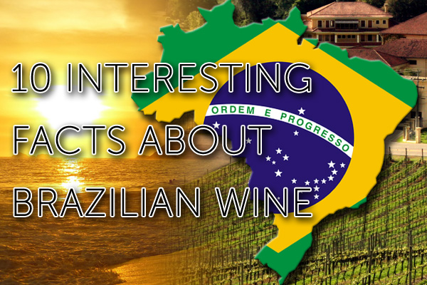 10 interesting facts about Brazilian wine