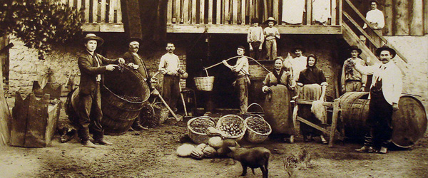 Italian immigrants and Brazilian wine