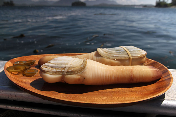 Geoduck