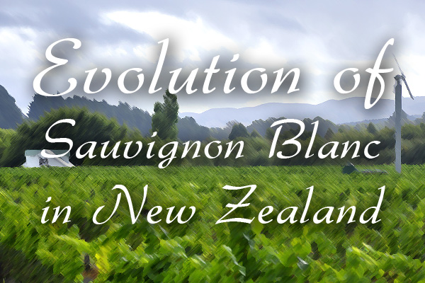 Evolution of Sauvignon Blanc in New Zealand