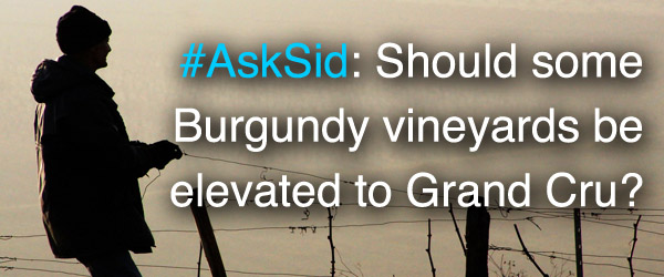 Ask Sid: Should some Burgundy vineyards be elevated to Grand Cru?