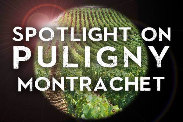 Puligny Montrachet