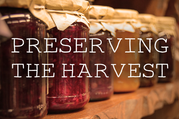 preserves jams chutneys