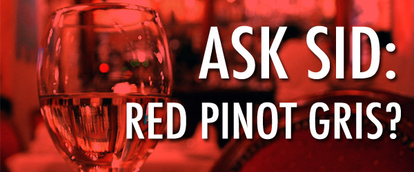 Ask Sid: Red Pinot Gris?