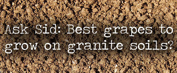 what are the best grapes to grow on granite soils?