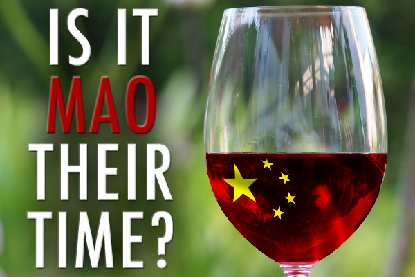 Chinese wine industry tasting