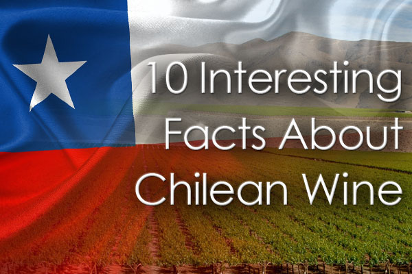 Wines from Chile