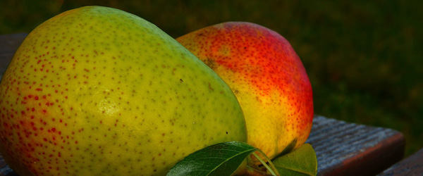 Pear Riesling