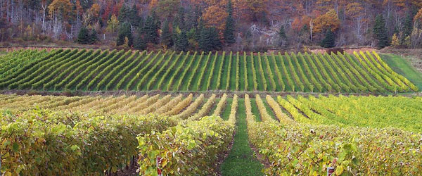 wine regions Nova Scotia