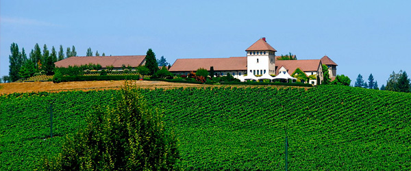 vineyard and wineries in oregon