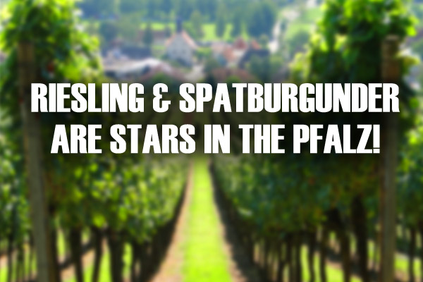 Riesling & Spatburgunder are Stars in the Pfalz!