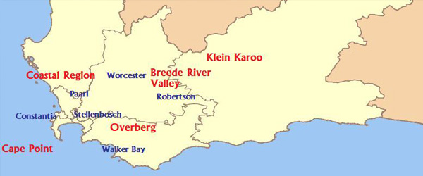 wine Coastal Region Western Cape