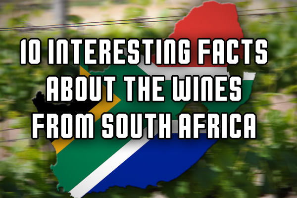 South African wine facts