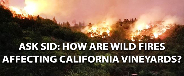 California wildfires wine grapes