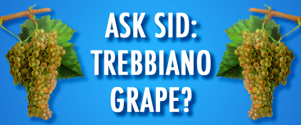 Trebbiano wine grape