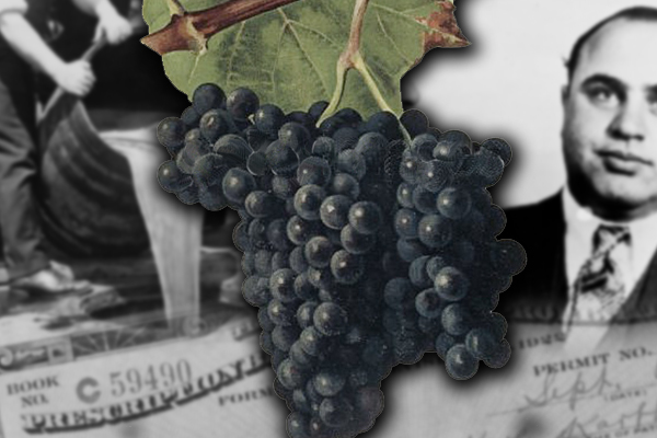 Alicante Bouschet grape wine