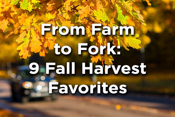 From Farm to Fork: 9 Fall Harvest Favorites