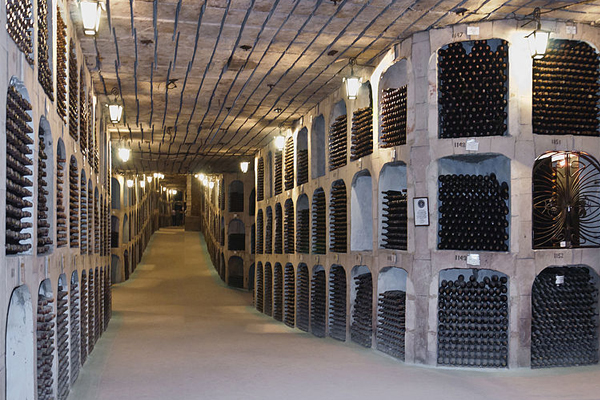 world's biggest wine cellar