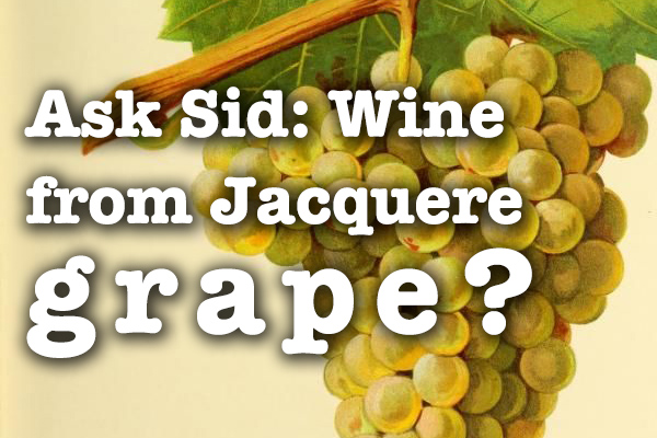 Wine from Jacquere grape?