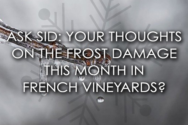 frost damage france french vineyards 2021 vintage harvest